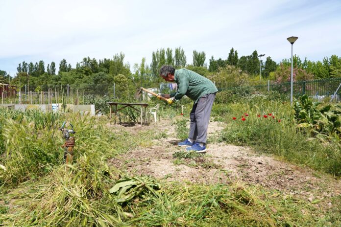 Herrera-de-Pisuerga-busca-vecinos-que-quieran-ser-hortelanos