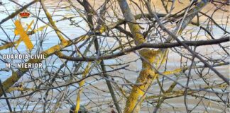 La Guardia Civil rescata el cuerpo sin vida de Sari Revilla en Osorno