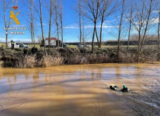 Hallan en el río Carrión el cuerpo sin vida del joven desaparecido en Guardo La Guardia Civil rescata el cuerpo sin vida de Sari Revilla en Osorno