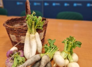 Monzón busca una marca de calidad para ‘su’ nabo Monzón-busca-una-marca-de-calidad-para-'su'-nabo