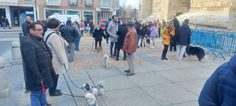 san Ant&oacute;n 2023