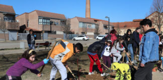 Plantar árboles en Villamuriel de Cerrato
