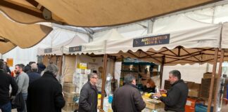 IV Feria Apícola Palencia