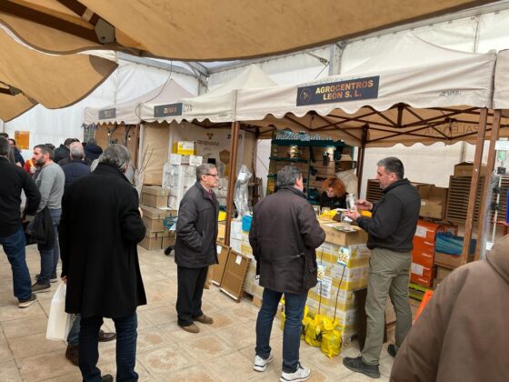 IV Feria Ap&iacute;cola Palencia