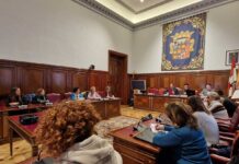 Consejo Provincial de la Mujer Diputación de Palencia