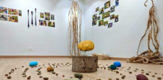 “Instalaciones Multisensoriales al aire libre” en el Campus de Palencia