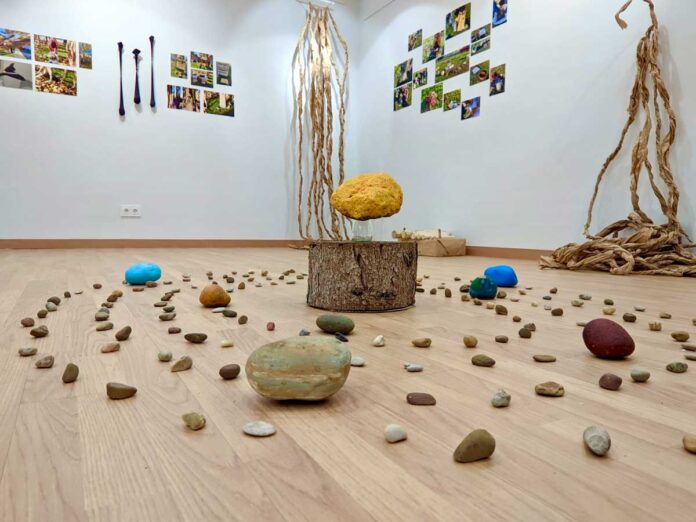 “Instalaciones Multisensoriales al aire libre” en el Campus de Palencia “Instalaciones Multisensoriales al aire libre” en el Campus de Palencia