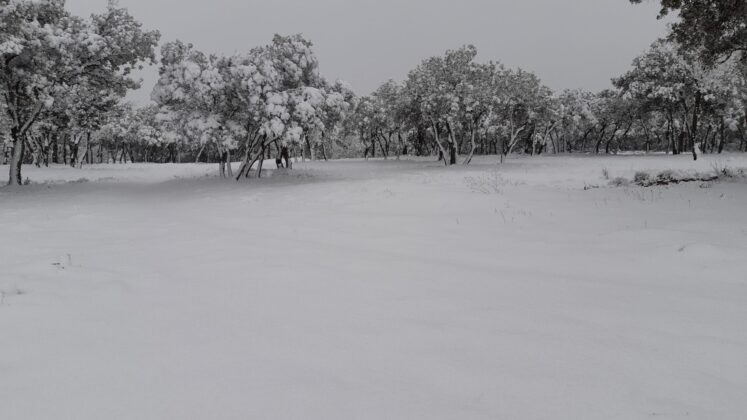 &iquest;La-Laponia-Finlandesa-No-Monte-nevado-Palencia-(Galer&iacute;a)-ze