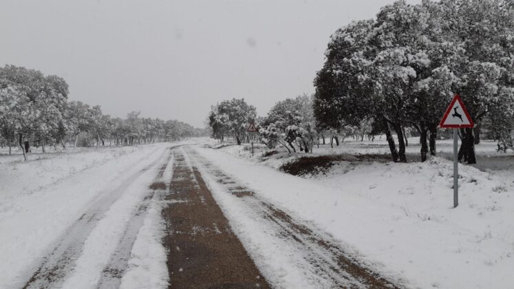 &iquest;La-Laponia-Finlandesa-No-Monte-nevado-Palencia-(Galer&iacute;a)-ze
