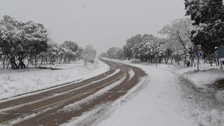 &iquest;La-Laponia-Finlandesa-No-Monte-nevado-Palencia-(Galer&iacute;a)-ze
