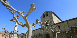 Carrión de los Condes