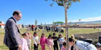 Escolares palentinos plantan 12 encinas en el entorno del Pabellón Mariano Haro con motivo del Día Mundial del Árbol