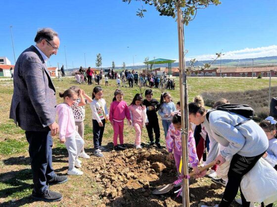 Escolares palentinos plantan 12 encinas en el entorno del Pabell&oacute;n Mariano Haro con motivo del D&iacute;a Mundial del &Aacute;rbol