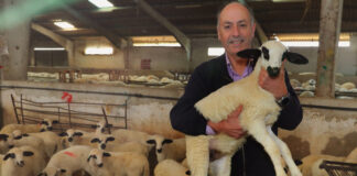 Mariano Paramio, presidente de ANCHE