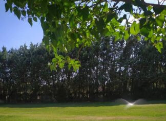 Jardinería Martín. Mantén tu jardín en perfecto estado durante todo el año Jardinería Martín