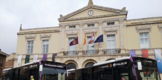 Palbús-hibrida-todos-sus-autobuses-'titulares'