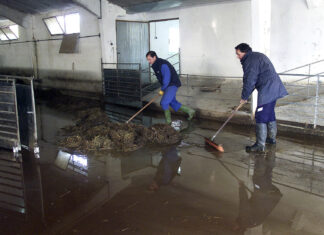 La Junta concede 6,7 millones a ocho diputaciones para incentivar la seguridad laboral y la competitividad en las explotaciones agropecuarias