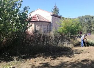 ayudas diputación ayuntamientos