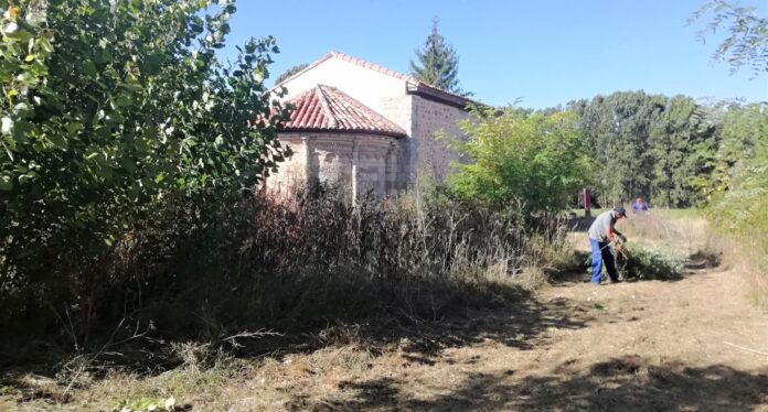 btr ayudas diputación ayuntamientos