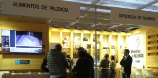 ayudas Diputación pymes