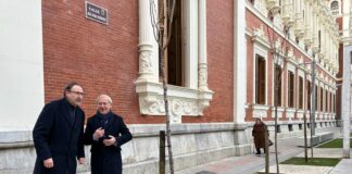 plantación palencia