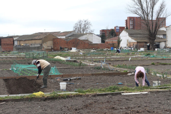 Huertos urbanos de la tercera edad gestionados por Cruz Roja de Palencia Huertos urbanos de la tercera edad gestionados por Cruz Roja de Palencia
