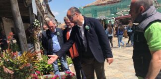 Ampudia mercado flor actividades