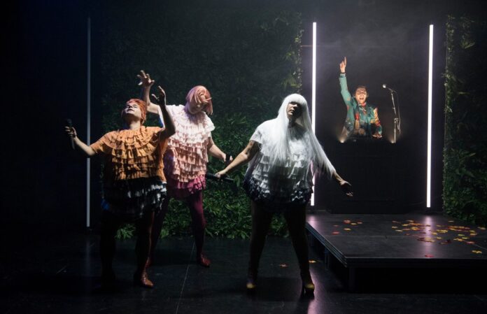 Las AVES-primavera-cultural-palencia-Anna-Fàbrega