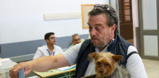 Si votabas en Palencia en estas mesas, ve buscando otra para mayo porque han desaparecido