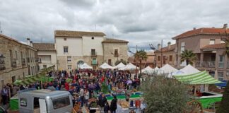 Villaviudas-prepara-fiesta-más-fragante-y-morada-de-la-provincia-d