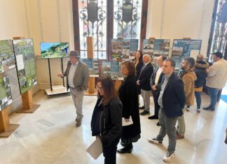 Voluntariado ambiental exposición