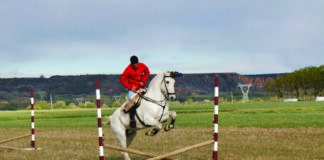 feria caballo barrios de la vega
