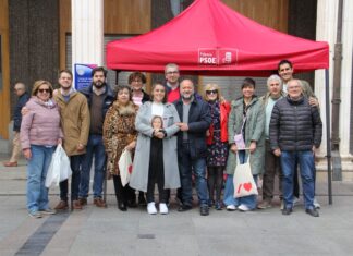 Árboles con flores moradas y baldosas con el corazón del Cristo para hacer una Palencia “más amable” Arboles-flor-morada-baldosas-corazón-Cristo-psoe