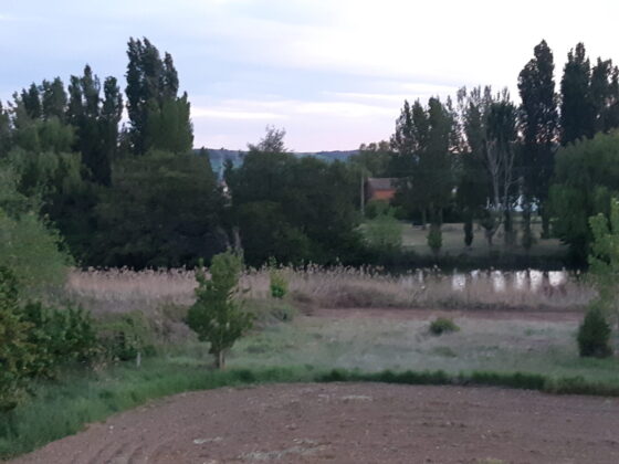 El-vial-junto-r&iacute;o-Carri&oacute;n-inicia-'su-camino'-Palencia-a