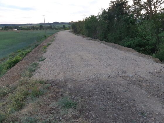 El-vial-junto-r&iacute;o-Carri&oacute;n-inicia-'su-camino'-Palencia-a