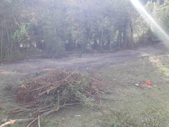 El-vial-junto-r&iacute;o-Carri&oacute;n-inicia-'su-camino'-Palencia-a