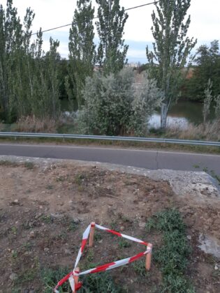 El-vial-junto-r&iacute;o-Carri&oacute;n-inicia-'su-camino'-Palencia-a