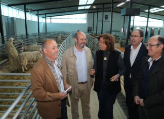 Rollán (PP): “El Gobierno ha hecho a los ganaderos culpables casi del fin del mundo”