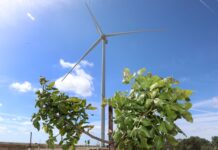 Autorizada la construcción de un módulo solar fotovoltaico de 52,5 megavatios para su hibridación con un parque eólico en Ampudia y Pedraza de Campos Autorizada la construcción de un módulo solar fotovoltaico de 52,5 megavatios para su hibridación con un parque eólico en Ampudia y Pedraza de Campos