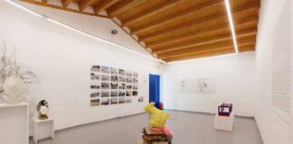 OLVIDAR A CANEJA -Nexo 990