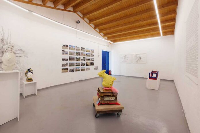 OLVIDAR-A-CANEJA--Nexo-990 OLVIDAR A CANEJA -Nexo 990