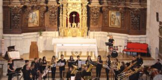 beebrass Palencia Sonora