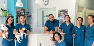 Clínica bigotes con gatos