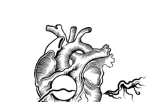 Donación de órganos