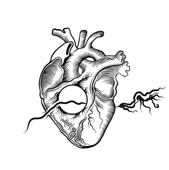 Donación de órganos