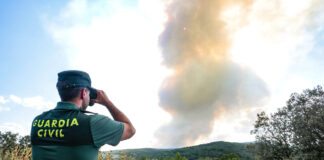 Incendios forestales en Castilla y León