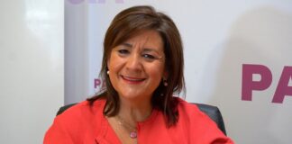 Rosa Aldea PSOE Senado Palencia