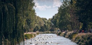 Triatlón Frómista 2022