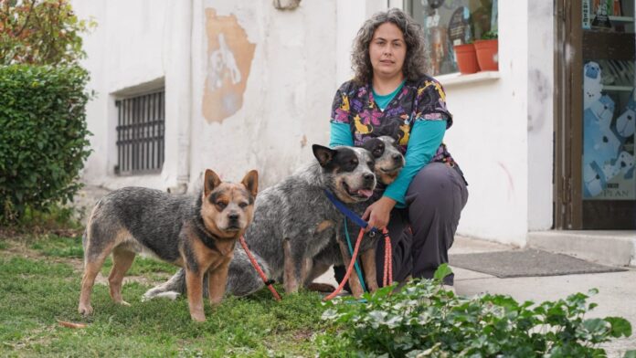 Animal Friends bu (1) Animal Friends