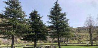 Fuente La Reana Velilla del Río Carrión